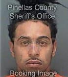 Miguel Aluarez, - Pinellas County, FL 