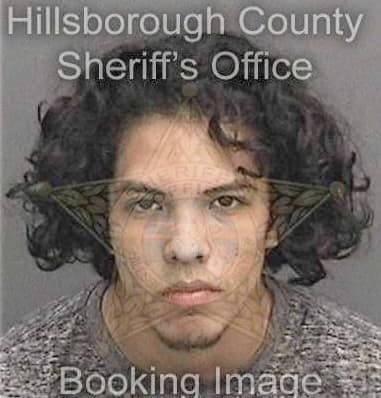 Christian Arroyonavedo, - Hillsborough County, FL 