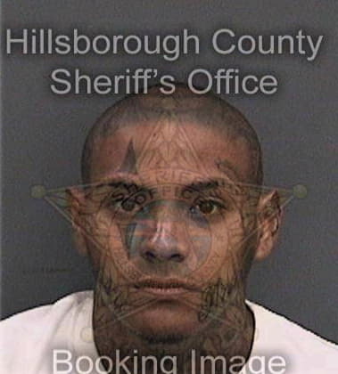 Salvatore Dominick, - Hillsborough County, FL 