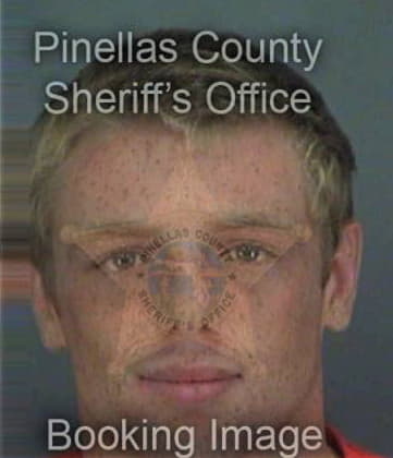 Brett Lewis, - Pinellas County, FL 