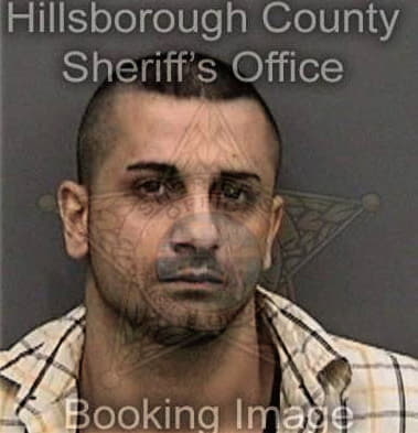 Christian Lozada, - Hillsborough County, FL 