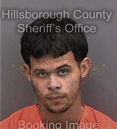 Kyle Mitchell - Hillsborough County, FL 
