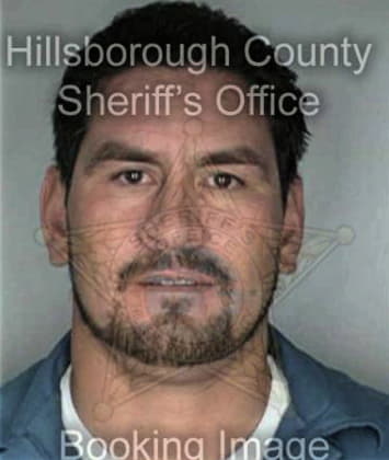 Manuel Santiago, - Hillsborough County, FL 