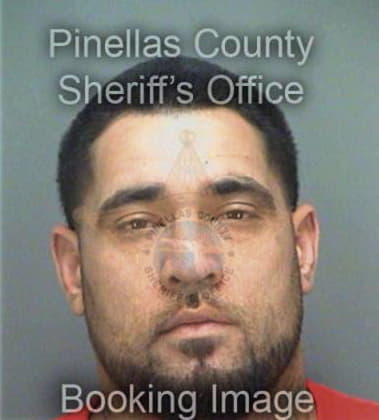 Rocco Chicarilli, - Pinellas County, FL 