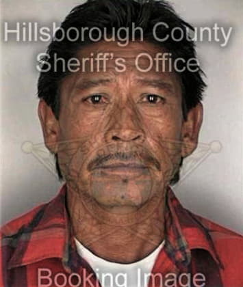 Christian Delgado, - Hillsborough County, FL 