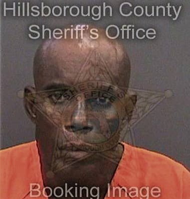 Lorenzo Godwin, - Hillsborough County, FL 