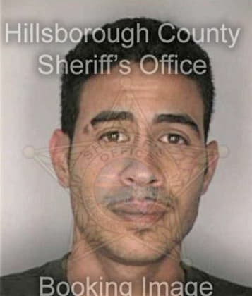 Robert Guitard, - Hillsborough County, FL 