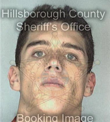 Robert Hinton, - Hillsborough County, FL 