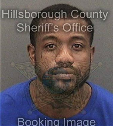 Damian Johnson, - Hillsborough County, FL 