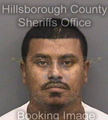 Troyanosky Jones, - Hillsborough County, FL 