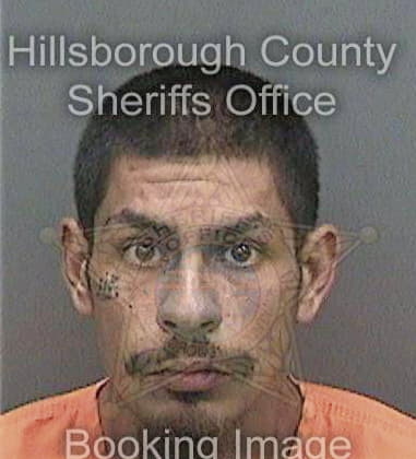 Christian Rodriguez, - Hillsborough County, FL 