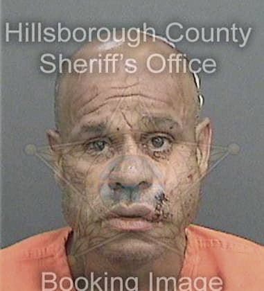 Emanuel Balbuenasantana, - Hillsborough County, FL 