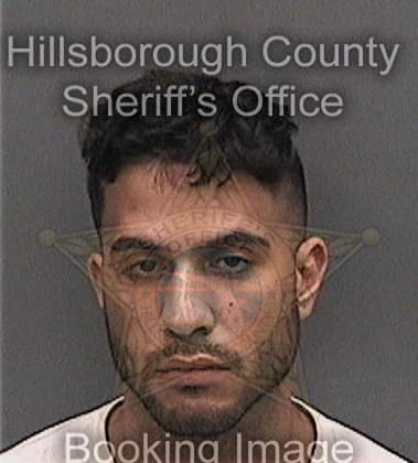 Richard Baldwin, - Hillsborough County, FL 