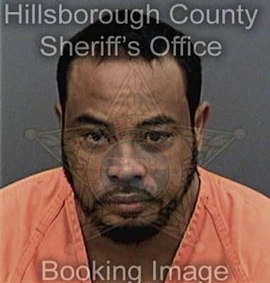 Mahmoud Bashir, - Hillsborough County, FL 