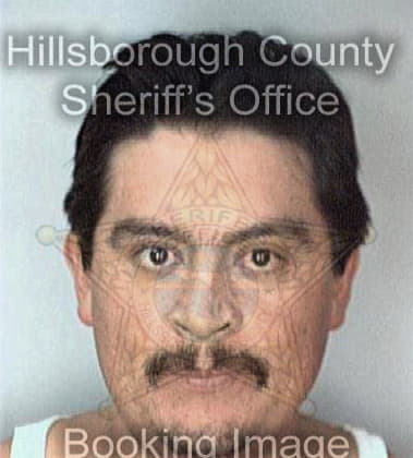 Luis Garces, - Hillsborough County, FL 