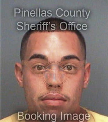 Ashban Garciaarchibol, - Pinellas County, FL 