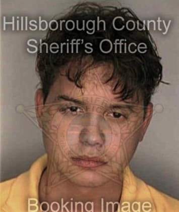 Hilario Jimenez, - Hillsborough County, FL 