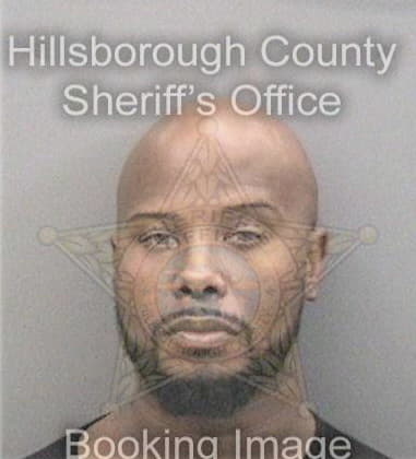 Bruny Michel - Hillsborough County, FL 