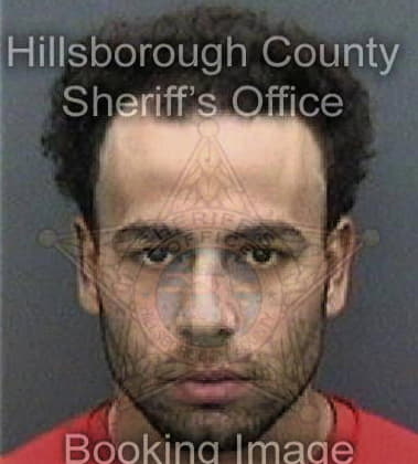 Luis Rivera - Hillsborough County, FL 