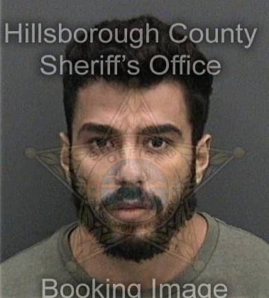 Brandon Seabolt, - Hillsborough County, FL 