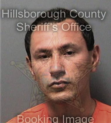 Alfred Ferreira, - Hillsborough County, FL 