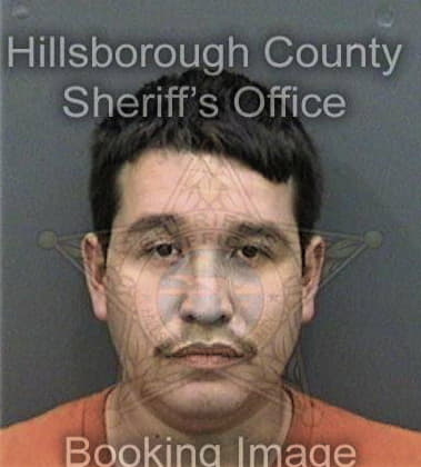 Shaun Gurley, - Hillsborough County, FL 