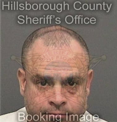 Felix Santossantiago, - Hillsborough County, FL 