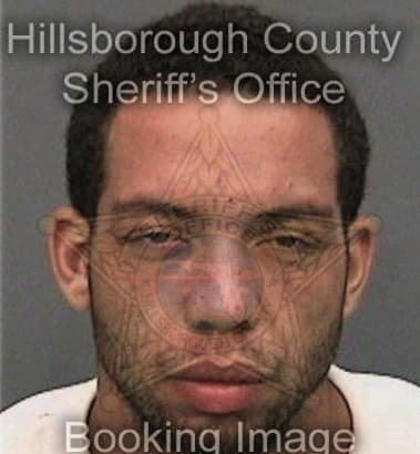 Corey Swanson, - Hillsborough County, FL 