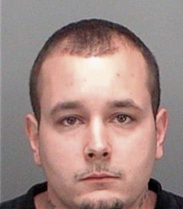 Joseph Acquarolo, - Pinellas County, FL 