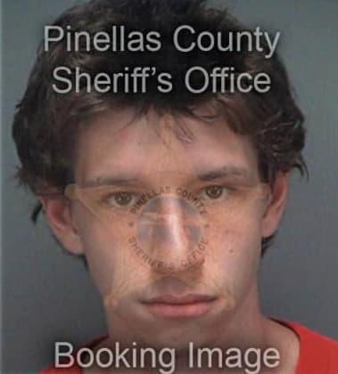 William Bagi, - Pinellas County, FL 