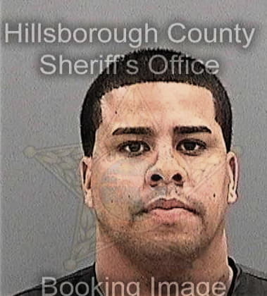 Ronald Bilodeau - Hillsborough County, FL 