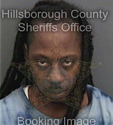 Micheal Brinson - Hillsborough County, FL 