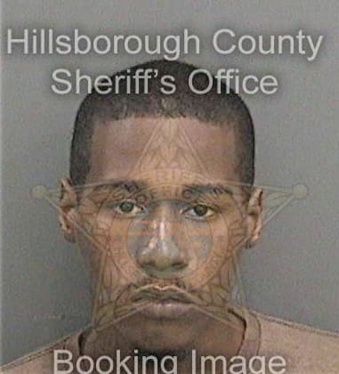 Brandon Brown, - Hillsborough County, FL 