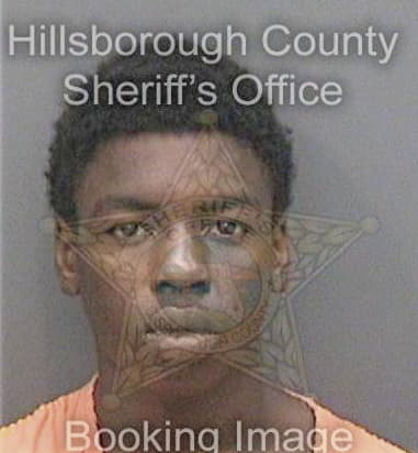 Eric Hall, - Hillsborough County, FL 