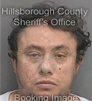 Chadwich Haynes, - Hillsborough County, FL 