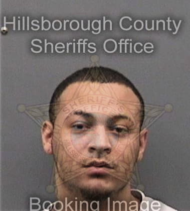 Anton Korobin, - Hillsborough County, FL 