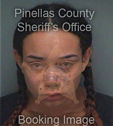 Maria Nicolasrafael, - Pinellas County, FL 