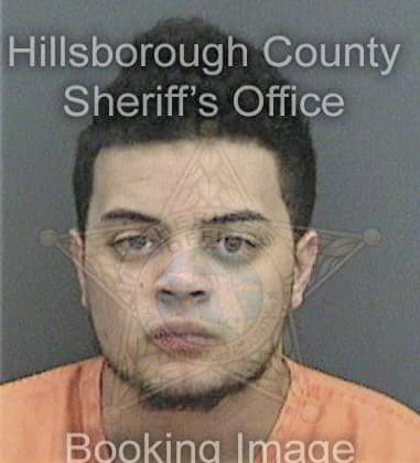 Robertzaid Alsina, - Hillsborough County, FL 