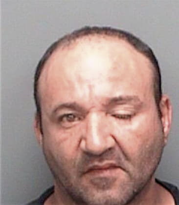 Guillermo Barajashernandez, - Pinellas County, FL 