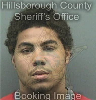 Camilo Bustos, - Hillsborough County, FL 