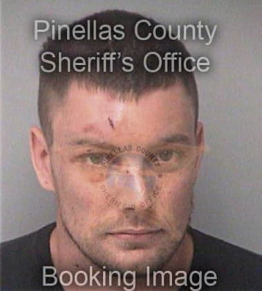 Dennis Cipriati, - Pinellas County, FL 