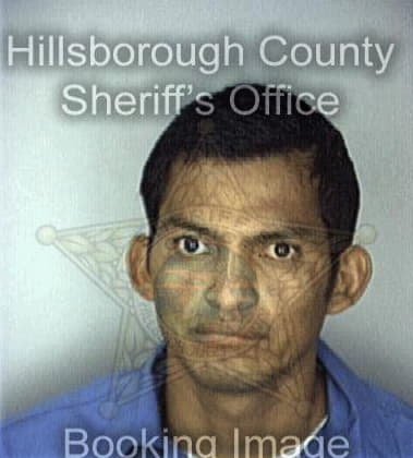Thomas Cole - Hillsborough County, FL 