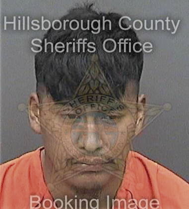 Melvin Fernandez, - Hillsborough County, FL 