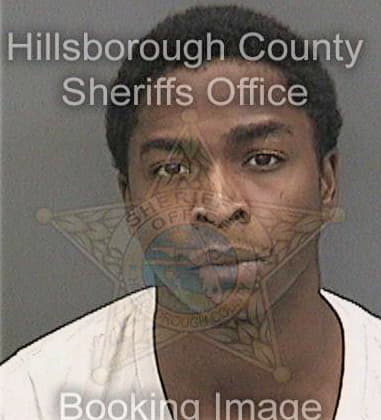 Lazarius Meadows - Hillsborough County, FL 