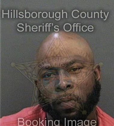 Shauri Mealing - Hillsborough County, FL 