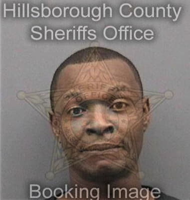 Lawrence Olaogun, - Hillsborough County, FL 