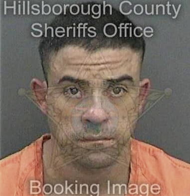 Sandor Rodriguezsuarez, - Hillsborough County, FL 