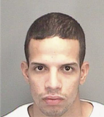 Jesse Villanueva, - Pinellas County, FL 