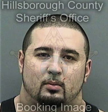 Matthew Walsh, - Hillsborough County, FL 