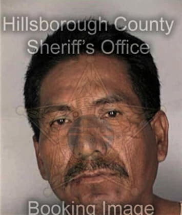 Anthony Whitehead - Hillsborough County, FL 